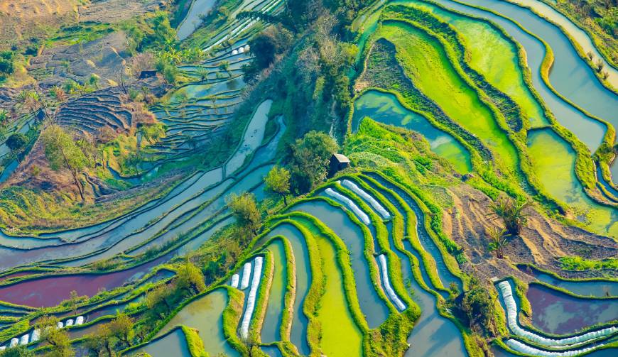 宝妈必备神器：信阳产品视频拍摄轻松育儿好帮手