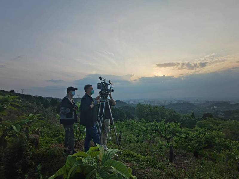 创意破圈！信阳电商产品宣传视频用故事化叙事引爆流量