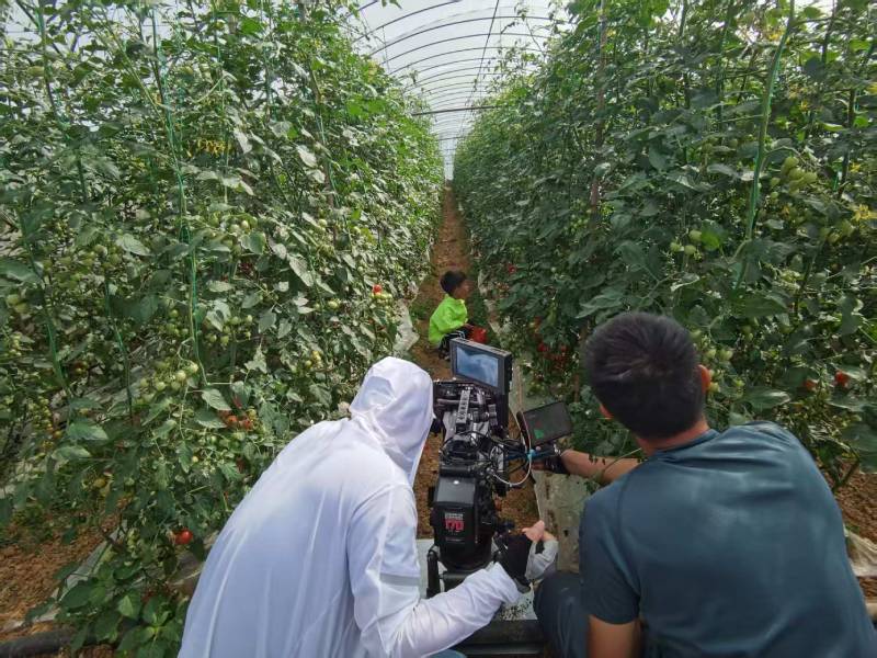 信阳产品宣传视频拍摄公司进阶指南，助力品牌抢占传播高地